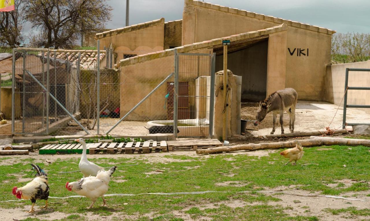 Aldea Los Odres - Cabanas De Madera De 1ª Con Piscina Privada Y Bbq En La Puerta Moratalla Kültér fotó